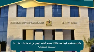 وظائف بأجور تبدأ من 12000 درهم تُعلن اليوم في الإمارات.. هل أنت مستعد للتقديم؟